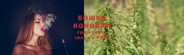 PSILOCYBIN Бронницы